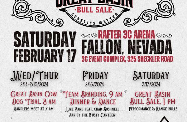 Great Basin Bull Sale 2024 Flyer